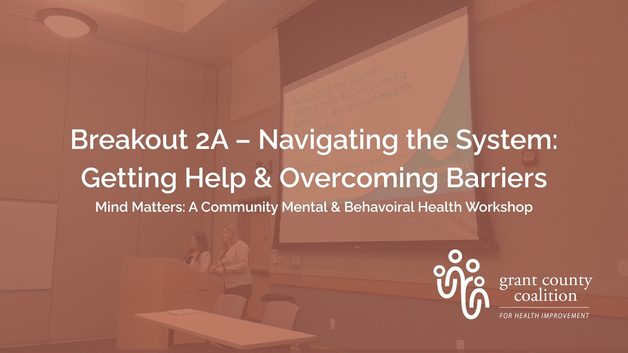 Breakout 2A Navigating the System: Getting Help & Overcoming Barriers ...