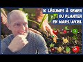 10 légumes à semer ou planter en mars/avril au potager !