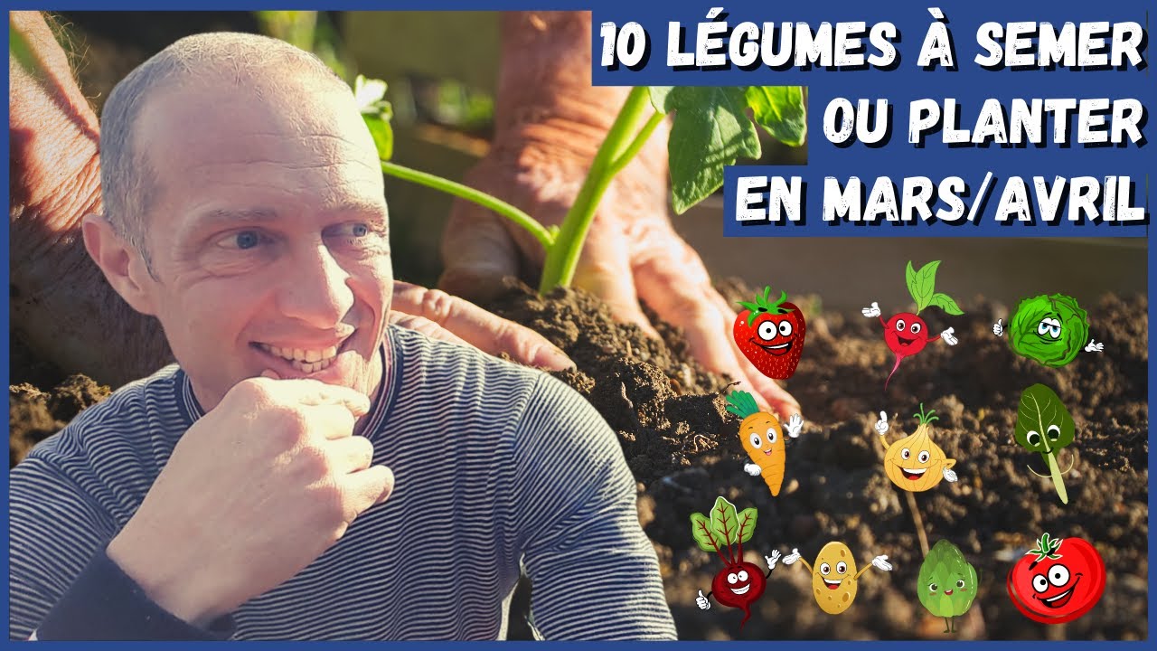 10 légumes à semer ou planter en mars/avril au potager !