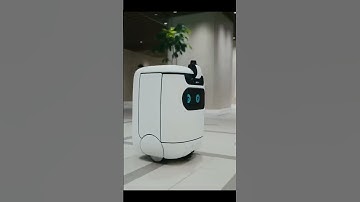 Delivery robot | New Technology | Pro robots #shorts