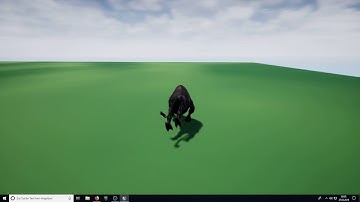 Root Motion Testing #1