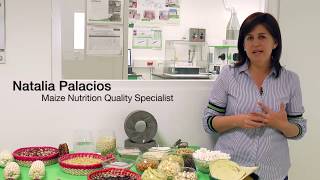 Famous Natalia Palacios and maize quality Wealth