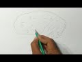 Simple Drawing✨| Easy drawing for beginners | @Subnow_playlater | #drawing #easydrawing