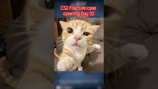 CS2 Fracture Case opening Day 32 #csgo #cs2case #cs2caseopeninng #cs2caseopening CS2 Fracture Case opening Day 32 #csgo #cs2case #cs2caseopeninng #cs2caseopening