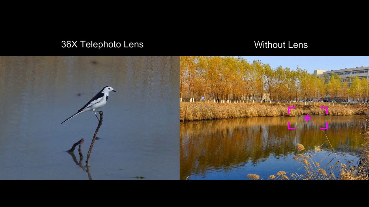 Apexel 36X Telephoto Smartphone Lens