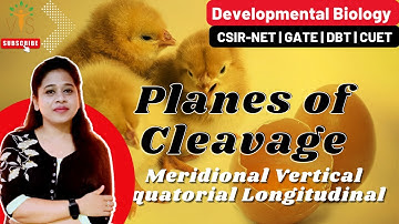 Planes of Cleavage | Meridional Cleavage | Equatorial Cleavage | Planes and Patterns of Cleavage