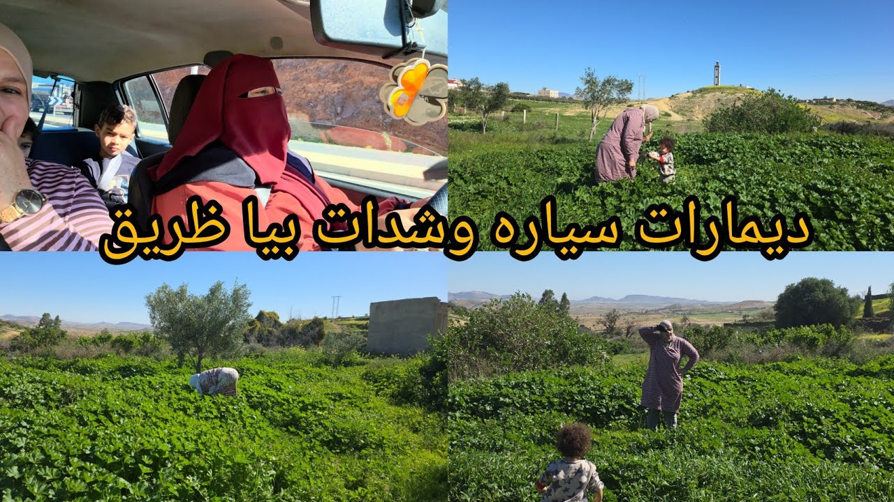 شوفو فين ديتها ومشحال فرحو بيها هيا طلقات علينا زينها 