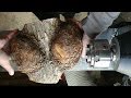 Woodturning IronWood Burl