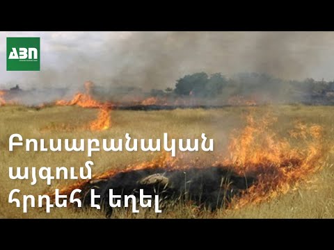 Video: Queens բուսաբանական այգի. Ամբողջական ուղեցույց