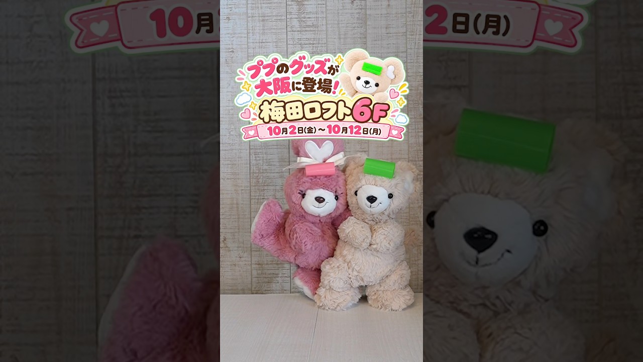 明日10月2日から‼️大阪きてー‼️