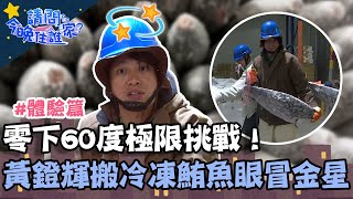 零下60度極限挑戰！黃鐙輝搬冷凍鮪魚眼冒金星？【請問 今晚住誰家】體驗篇 20230327 EP719 Part3 竇智孔 黃鐙輝