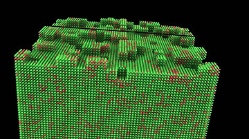 Grain Boundary Evolution
