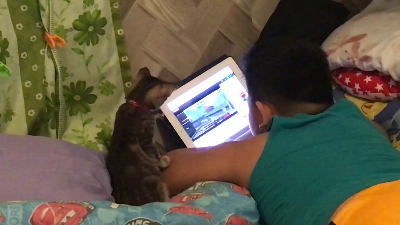 Maze watching with big bro Brad