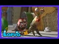 Larva - 魔法の手で救え！奇跡のマッサージ 🤲🏽 | 子供アニメ | WildBrain キッズ