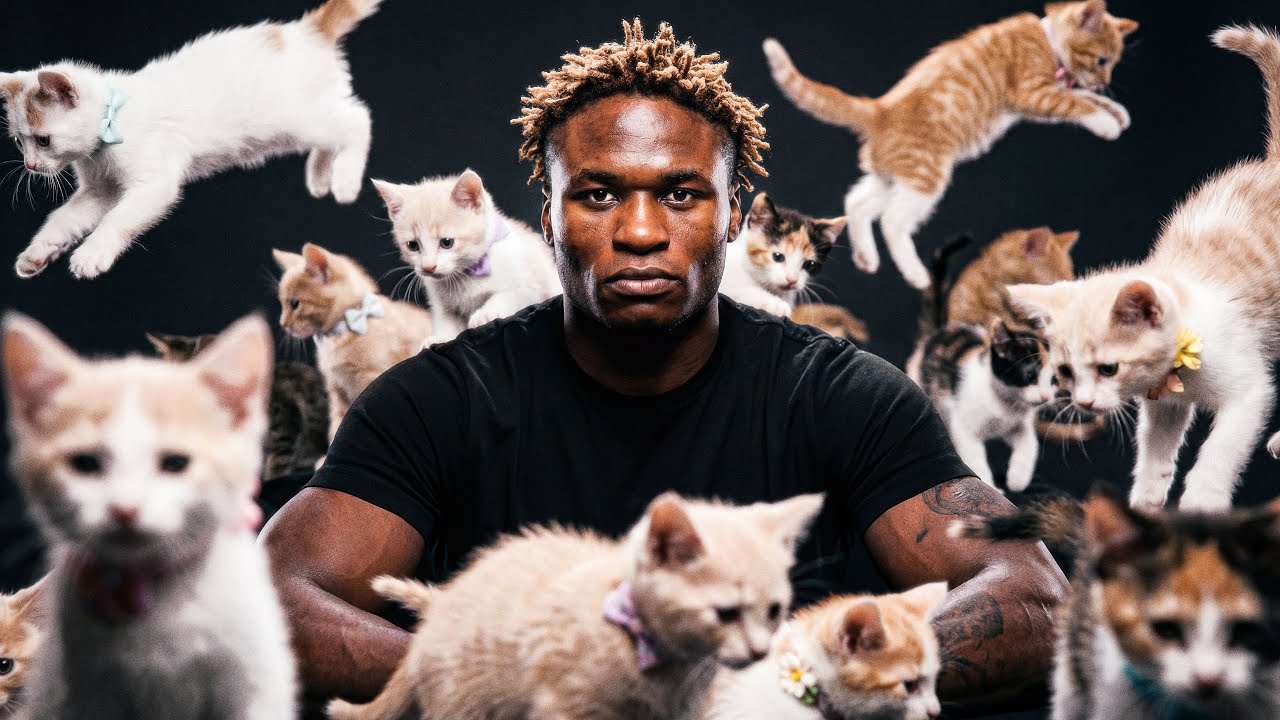 Мы поместили самого опасного перспективного бойца UFC в комнату, полную кошек | Атеба Готье