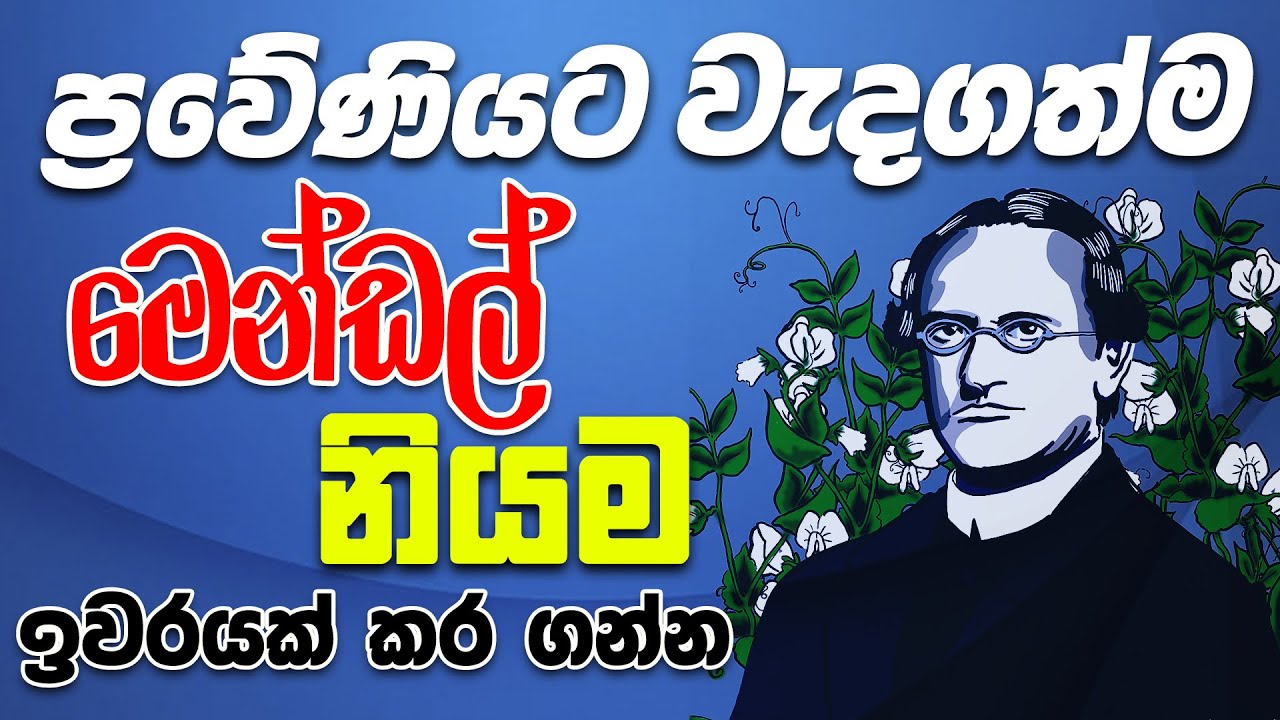 ප්‍රවේණිය - 10 ශ්‍රේණිය - 20 ඒකකය - genetics - lesson 20 - grade 10 - science with ck sir -epapere