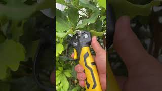 electric scissors easy use save time #tool P7881