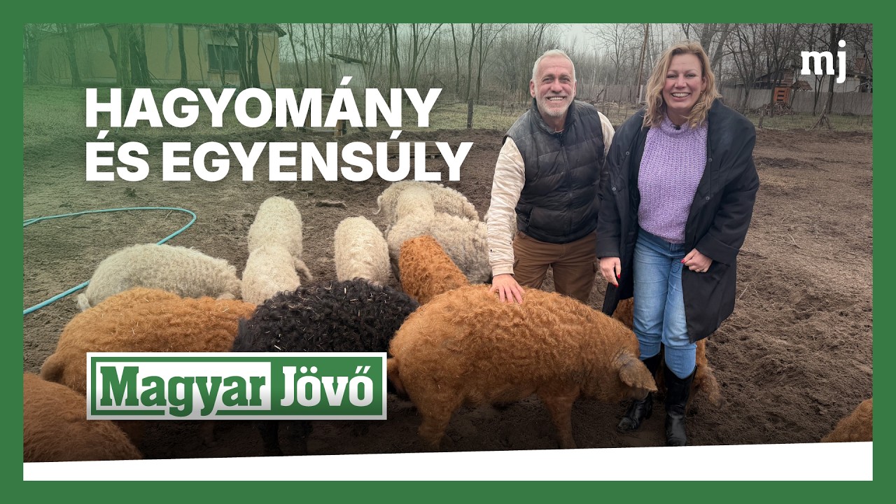 Ahol megáll az idő: harmónia a tiszakécskei pusztában