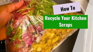How to recycle kitchen scraps into garden compost