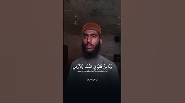 وان ربك ليعلم ما تكن صدورهم وما يعلنون | القارئ طاہر ظہیر | سورة النمل