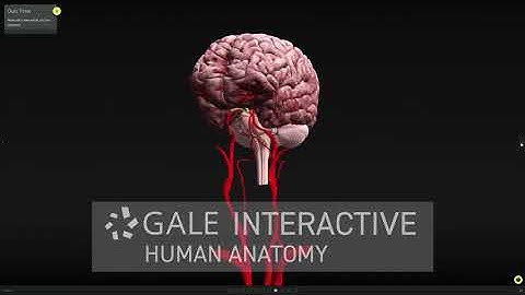 Gale Research Complete: Schools Edition - Ultimate 