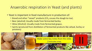 GCSE Biology: Anaerobic respiration in yeast