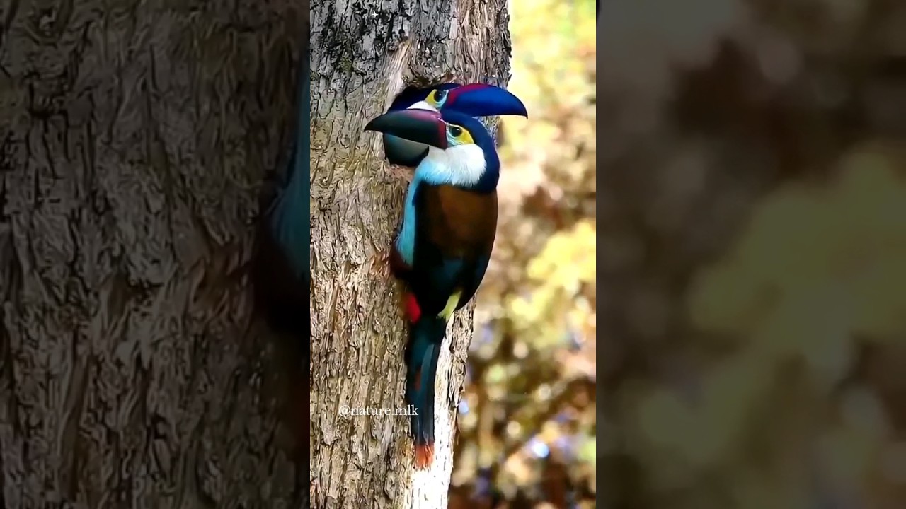 The best thing you can give your children💧