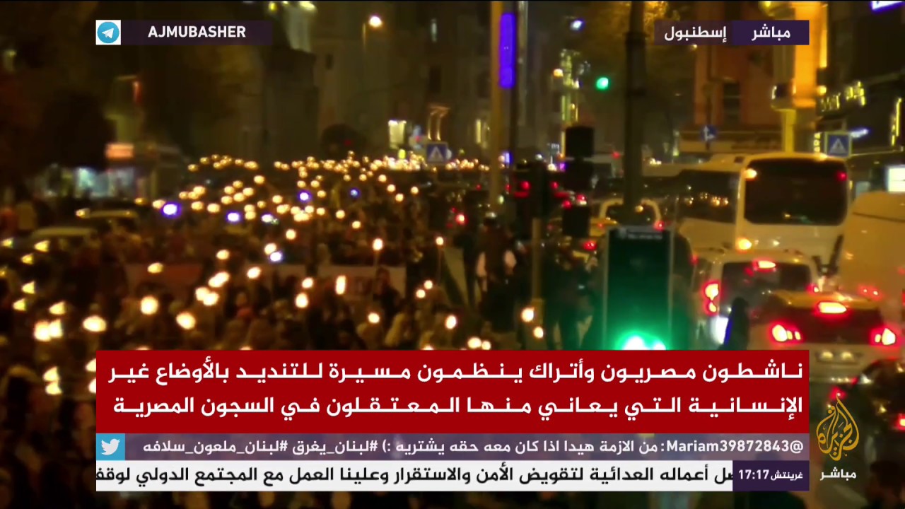 ناشطون مصريون واتراك ينظمون مسيرة للتنديد بالأوضاع في السجون المصرية