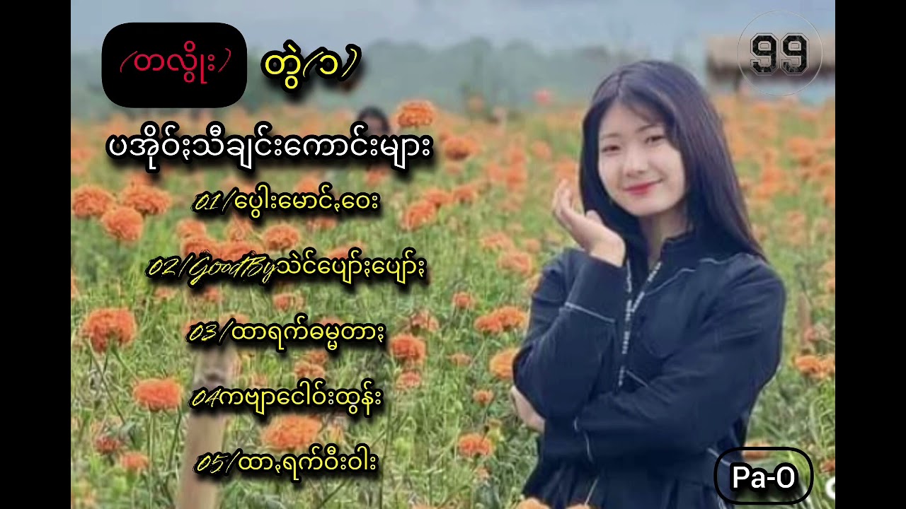 ပအိုဝ်းသီချင်းကောင်းများ