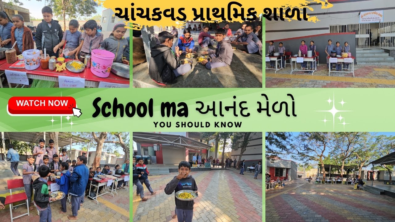 પ્રાથમિક શાળામાં આનંદ મેળો 😍 | બાળકોની ખુશી |School Activity Day |