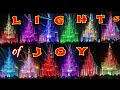 Lights of joy  festival lighting