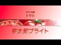 【野菜】「品種解説」トマト　タキイ交配『桃太郎ブライト』
