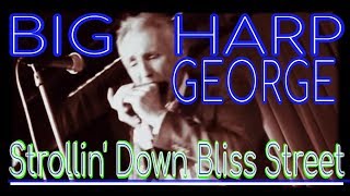 Big Harp George - Strolling Down Bliss Street (Live @ Biscuits & Blues)