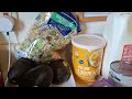 Donna's grocery shopping trip March 24,26
