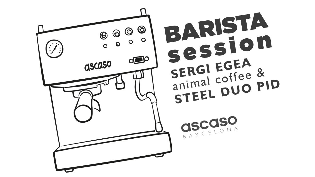 ANIMAL COFFEE & STEEL DUO PID SESSION (Voice-over ENG)