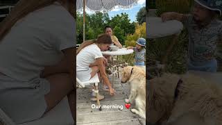 Karolina protsenko is training her dog to be patient ❤️ #family #dog #pet #karolinaprotsenko