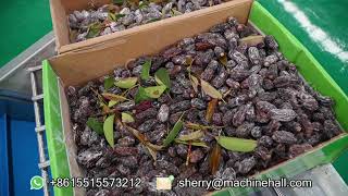 What Are The Stages of Date Production