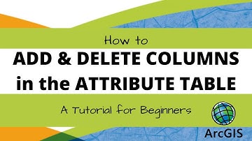 How to add and delete columns in the attribute table | Lesson 7