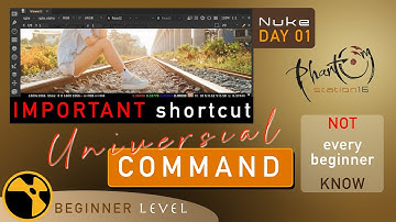 NUKE - Day 1 - Basic SHORTCUTs - every beginner should know