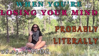 20170824 VLOG-When You're REALLY Losing Your Mind. Probably Literally.