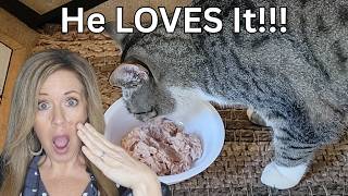 Easy Carnivore Cat Food! 🐔🐠🍖