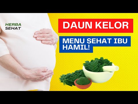 Manfaat Daun Kelor Untuk Ibu Hamil
