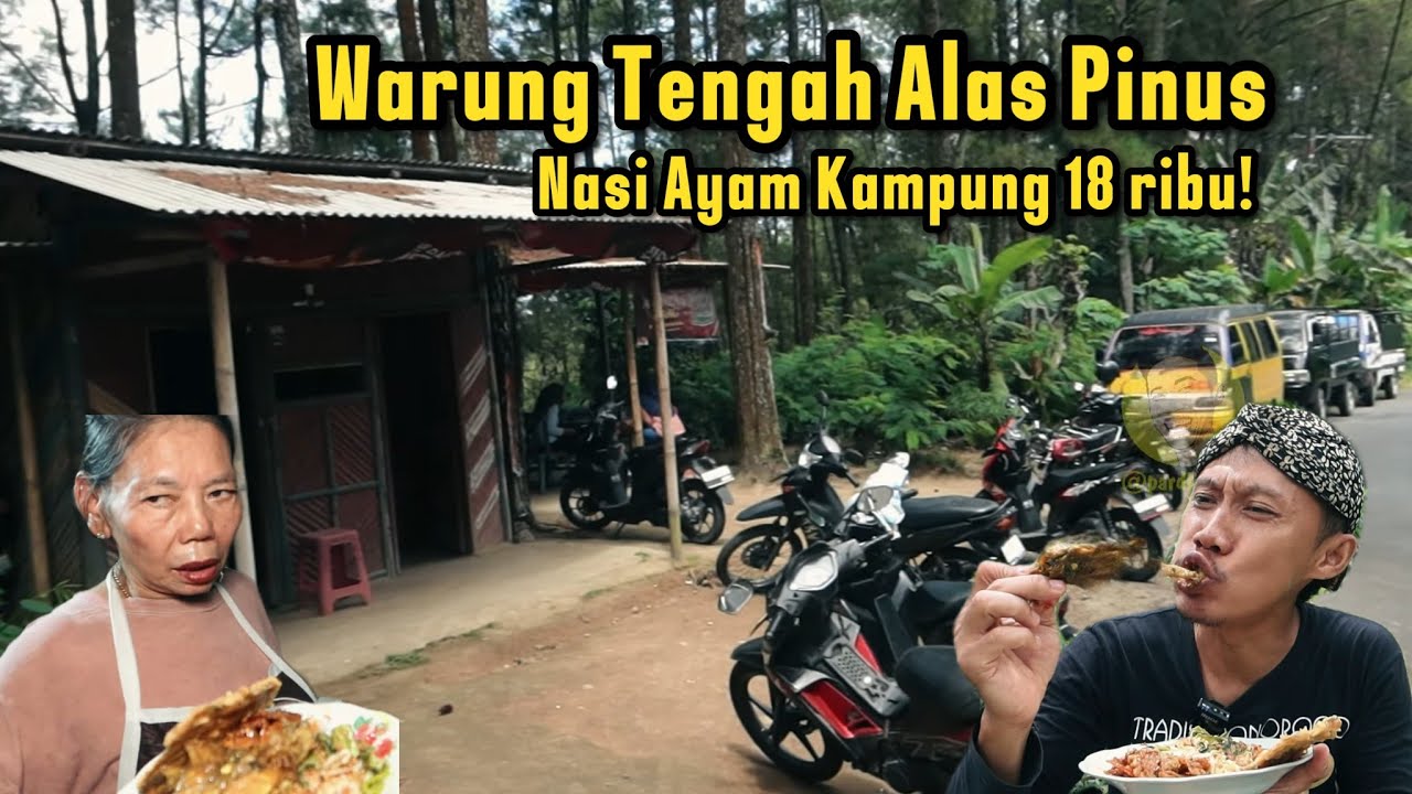 Makan siang di pucuk gunung Ngebel, warung sor pinus spesial ayam kampung!