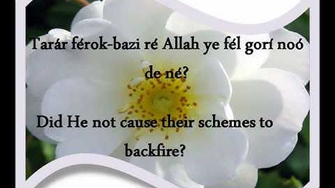 سورة الفيل باللغة الروهنجيا بصوت نصرالله الأركاني