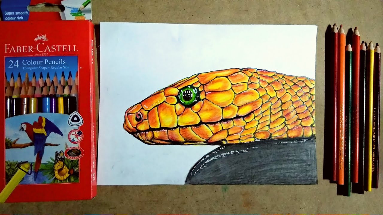 Featured image of post Snake Head Realistic Pencil Snake Drawing Realistic pencil realistic snake drawing