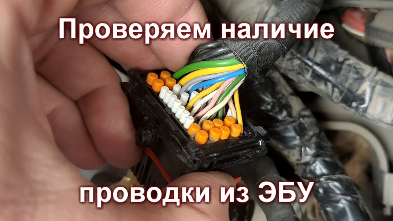 Установка круиз-контроля на Xray 1.8 AMT. Часть 2 - проводка к ЭБУ ...