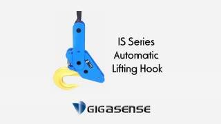 Gigasense (PIAB) IS Series Automatic Lifting Hook Net Worth