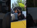 @tay.wow: just a big squish 😂 #dog #dogvideos