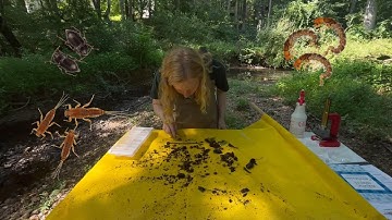 Virginia Save Our Streams: Rocky Bottom