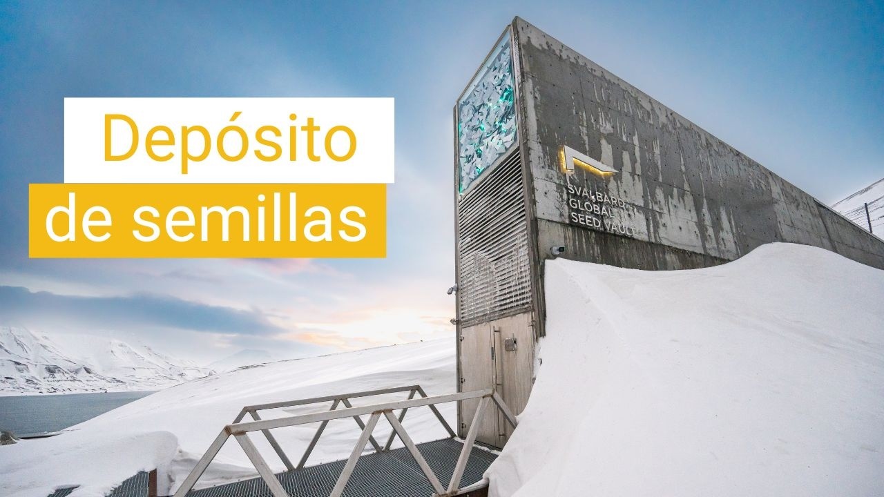 El depósito de hielo que protege el futuro de la vida